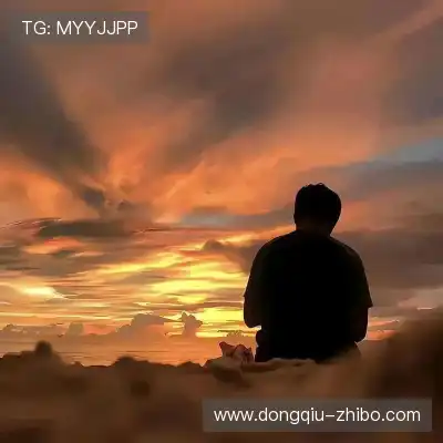沈维朵